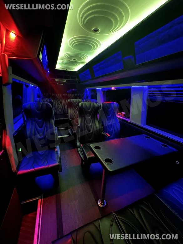 2017 Executive coaches Mercedes-Benz Sprinter Executive Shuttle