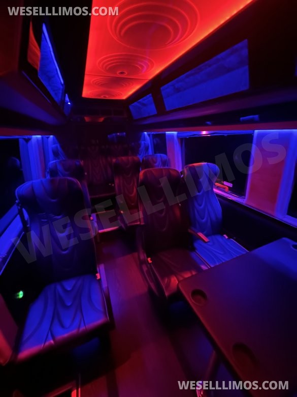 2017 Executive coaches Mercedes-Benz Sprinter Executive Shuttle