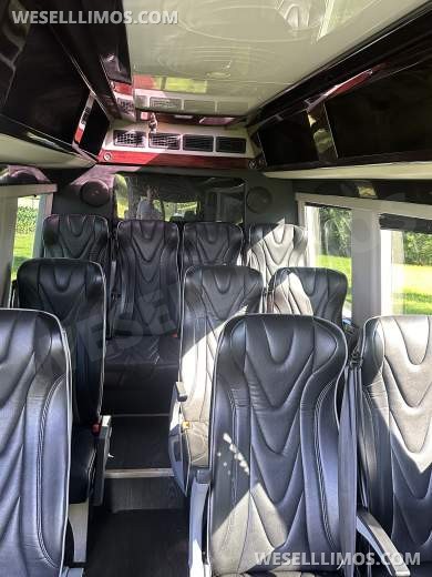 2017 Executive coaches Mercedes-Benz Sprinter Executive Shuttle