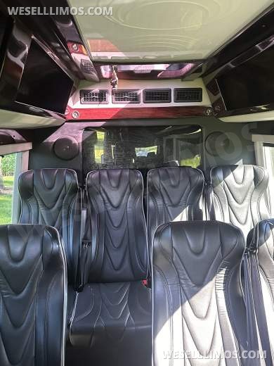 2017 Executive coaches Mercedes-Benz Sprinter Executive Shuttle