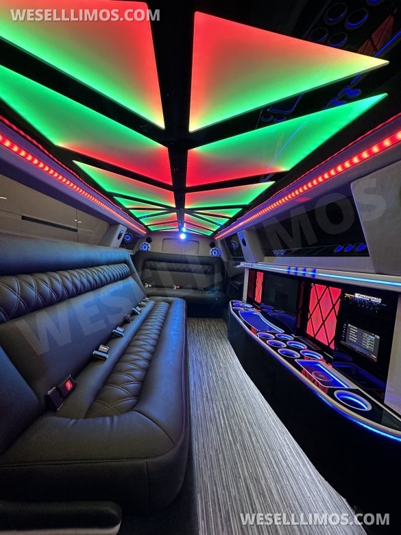Brand New 10 Passenger Sedan 5 Door Limousine