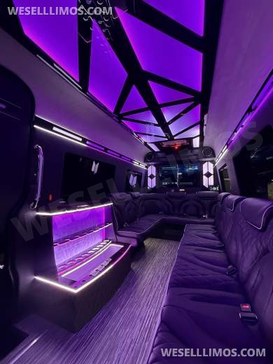 White Mercedes-Benz Sprinter 170ext Limo Style