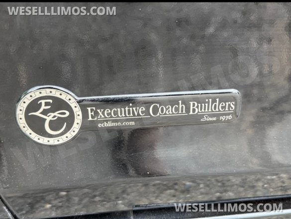 2013 Executive Coach Builders Chrysler 300 Limousine