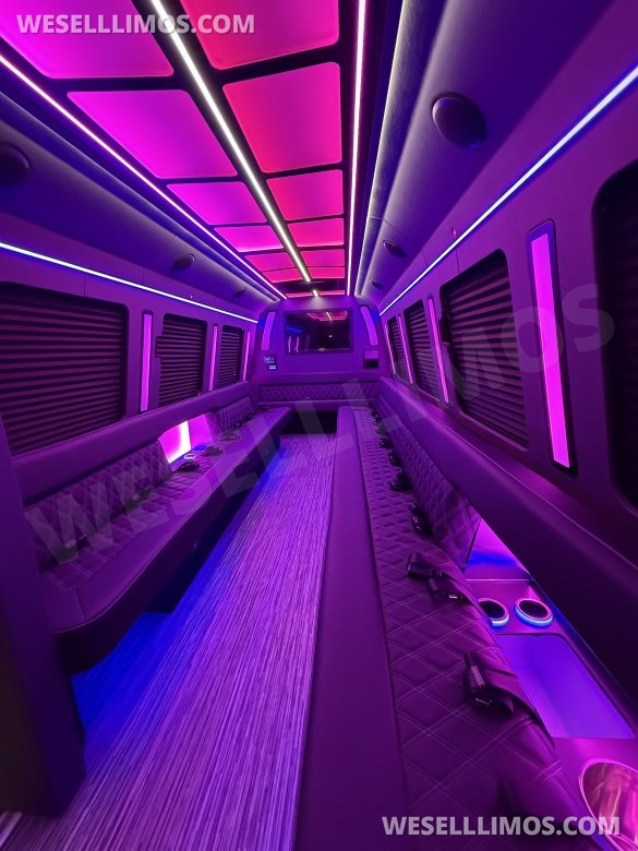 Limo Party Bus by LGE Coachworks E450