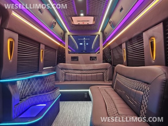 2023 Global Motor Coach Ford Transit Limo - Very Low Mileage