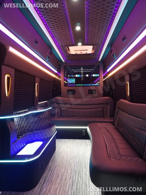 2023 Global Motor Coach Ford Transit Limo - Very Low Mileage