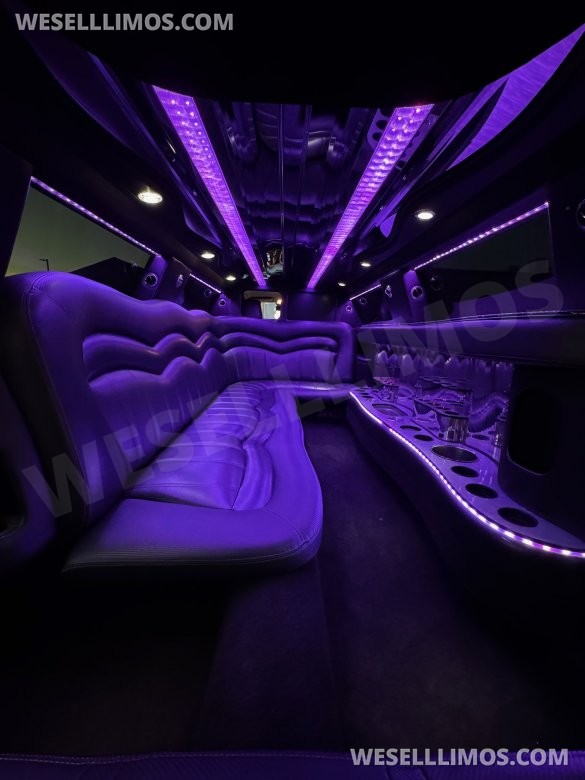 2015 Executive Coach Builder Chrysler Chrysler 300 Limousine