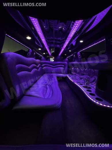 2015 Executive Coach Builder Chrysler Chrysler 300 Limousine