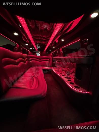 2015 Executive Coach Builder Chrysler Chrysler 300 Limousine
