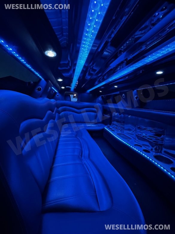 2015 Executive Coach Builder Chrysler Chrysler 300 Limousine