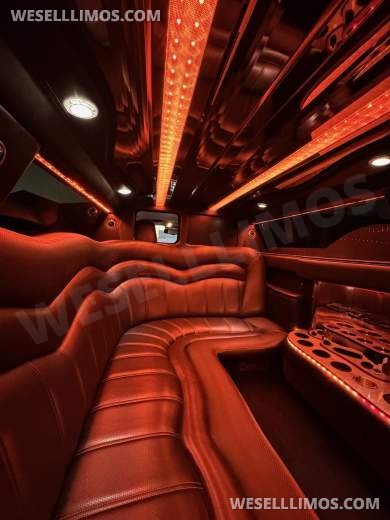 2015 Executive Coach Builder Chrysler Chrysler 300 Limousine