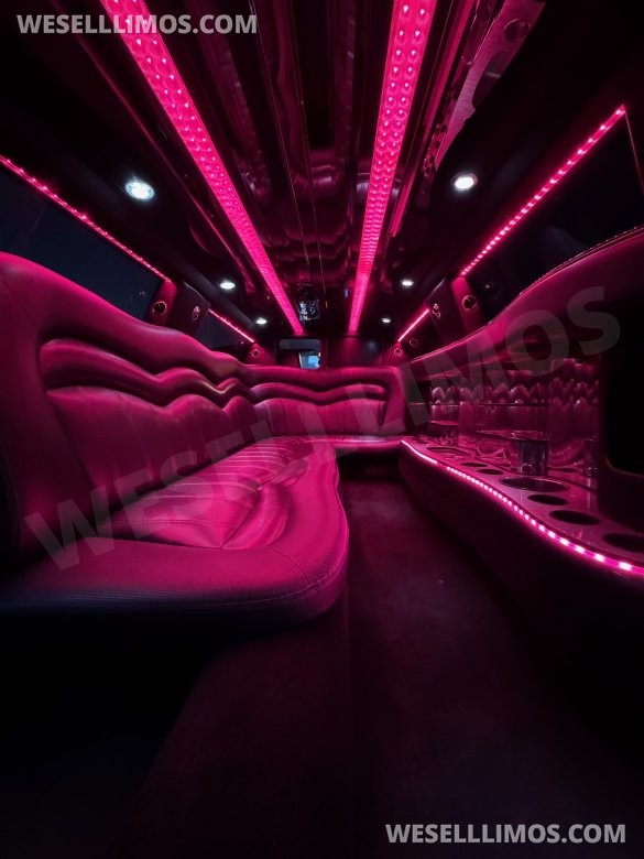2015 Executive Coach Builder Chrysler Chrysler 300 Limousine