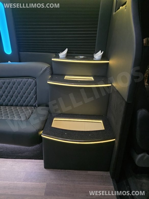 2017 Berkshire Ford E450 Limo Bus - 23 Passenger - New Interior
