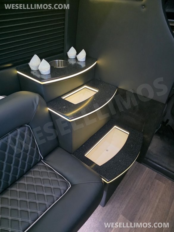2017 Berkshire Ford E450 Limo Bus - 23 Passenger - New Interior