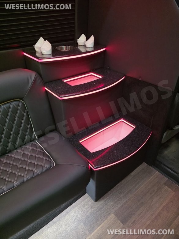 2017 Berkshire Ford E450 Limo Bus - 23 Passenger - New Interior