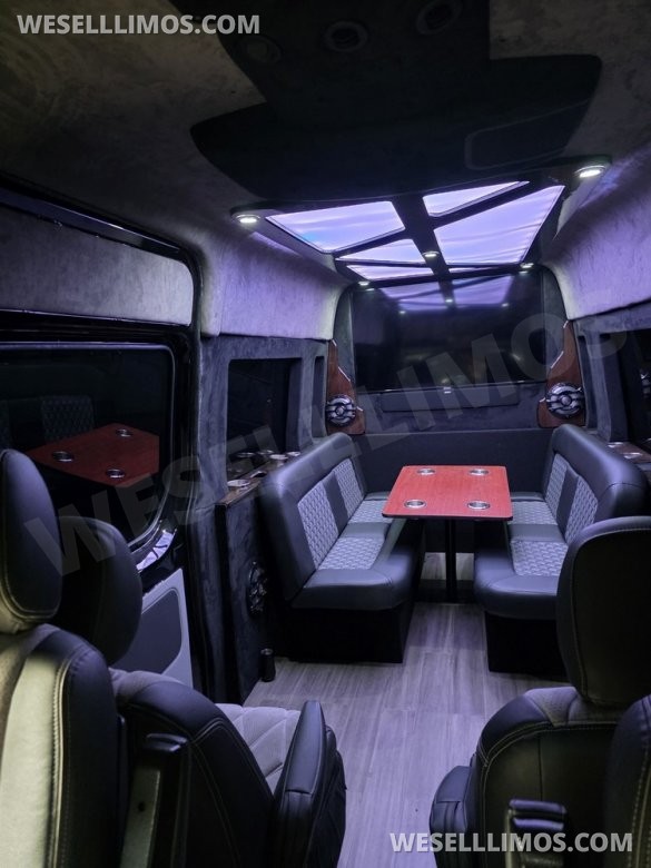 2015 Mercedes-Benz Sprinter Limo Sprinter