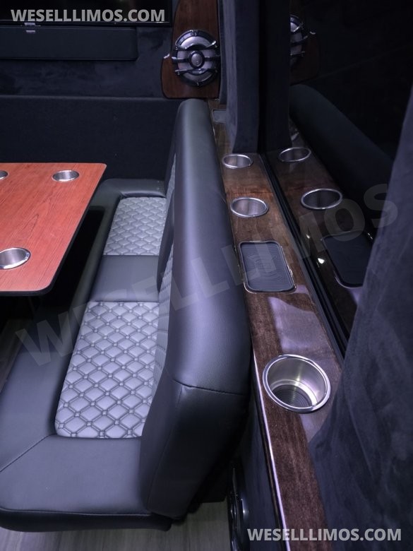 2015 Mercedes-Benz Sprinter Limo Sprinter