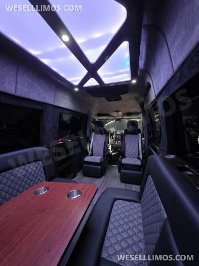 2015 Mercedes-Benz Sprinter Limo Sprinter