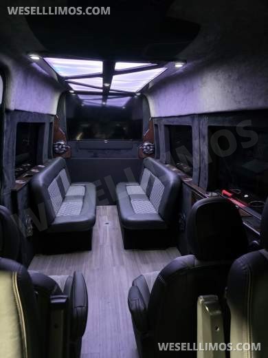 2015 Mercedes-Benz Sprinter Limo Sprinter