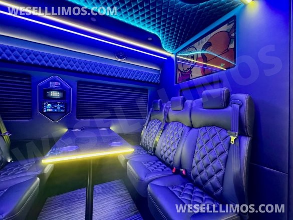 2024 Global Motor Coach Mercedes-Benz Sprinter 3500 Executive Shuttle