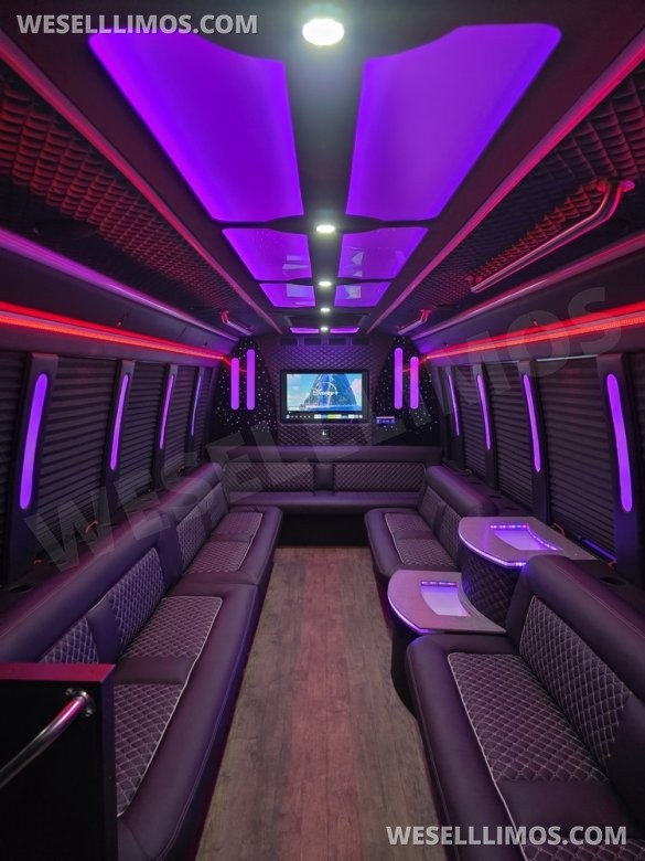 2019 Ford E450 Limo Bus 24 passenger