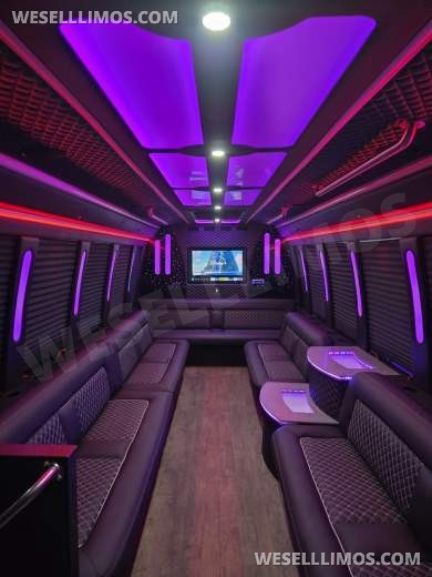 2019 Ford E450 Limo Bus 24 passenger