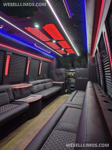 2019 Ford E450 Limo Bus 24 passenger