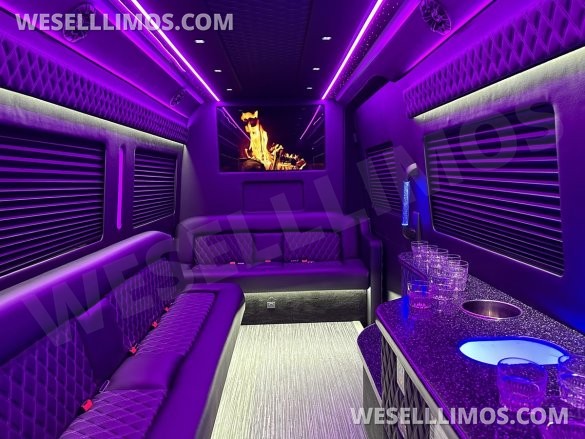 2024 Global Motor Coach Mercedes-Benz Sprinter 3500 - 3 Seat Model Limo Bus