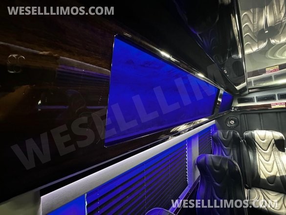 2017 Executive Coach Builders Mercedes-Benz 3500 Sprinter Shuttle
