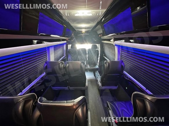 2017 Executive Coach Builders Mercedes-Benz 3500 Sprinter Shuttle