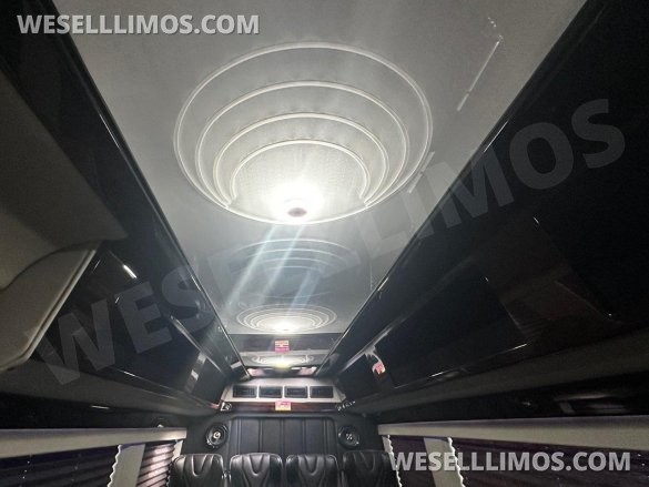 2017 Executive Coach Builders Mercedes-Benz 3500 Sprinter Shuttle