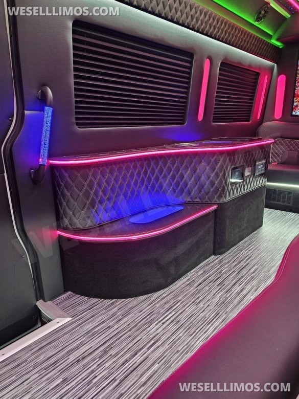 Brand New 14 Passenger Limo Sprinter
