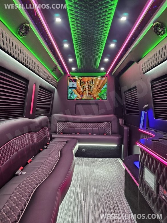 Brand New 14 Passenger Limo Sprinter
