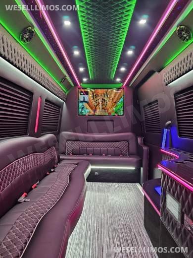Brand New 14 Passenger Limo Sprinter
