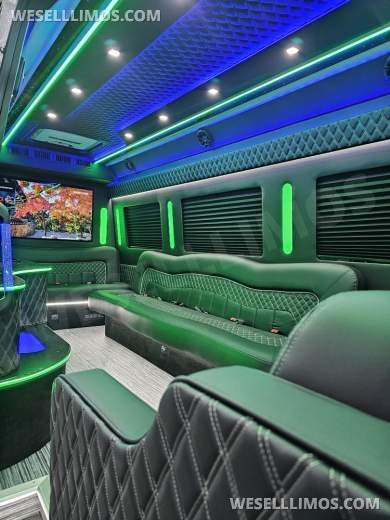 Brand New 14 Passenger Limo Sprinter