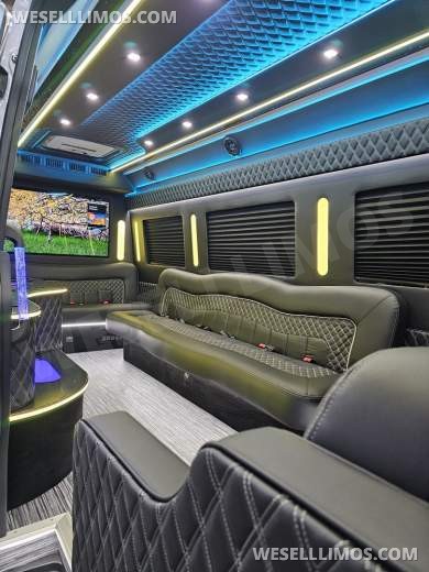 Brand New 14 Passenger Limo Sprinter