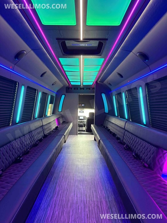35 Rear Passenger Party Bus by LGE Coachworks F600