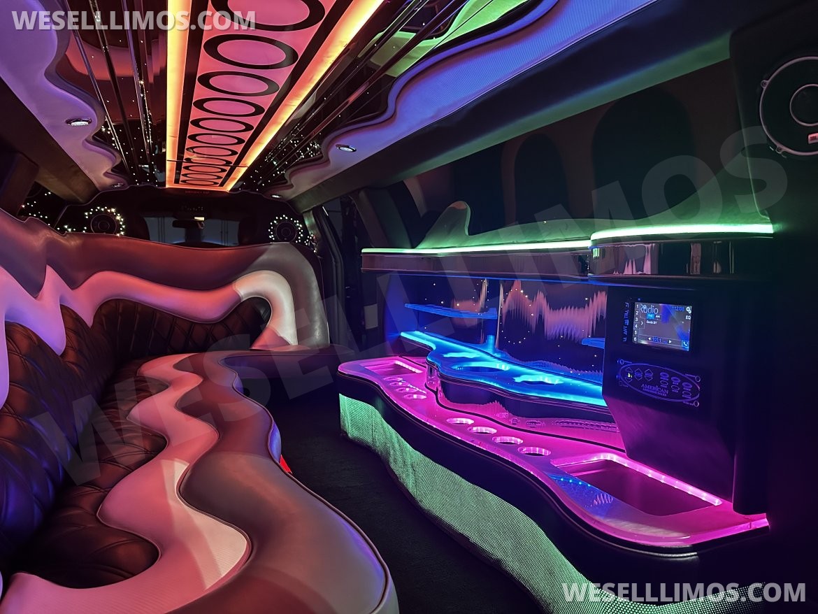 Photo of Limousine for sale: 2010 Chrysler 300 120&quot;