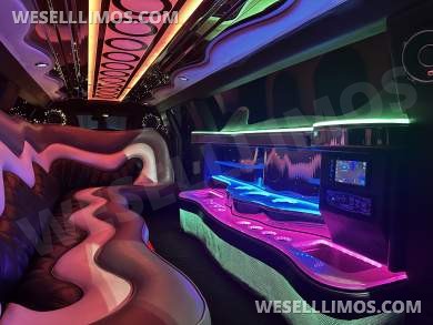2010 Chrysler 300 Limousine