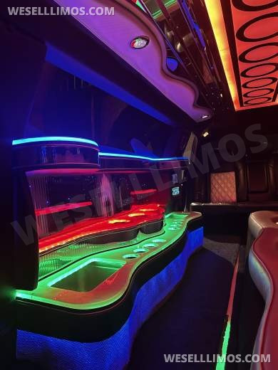 2010 Chrysler 300 Limousine