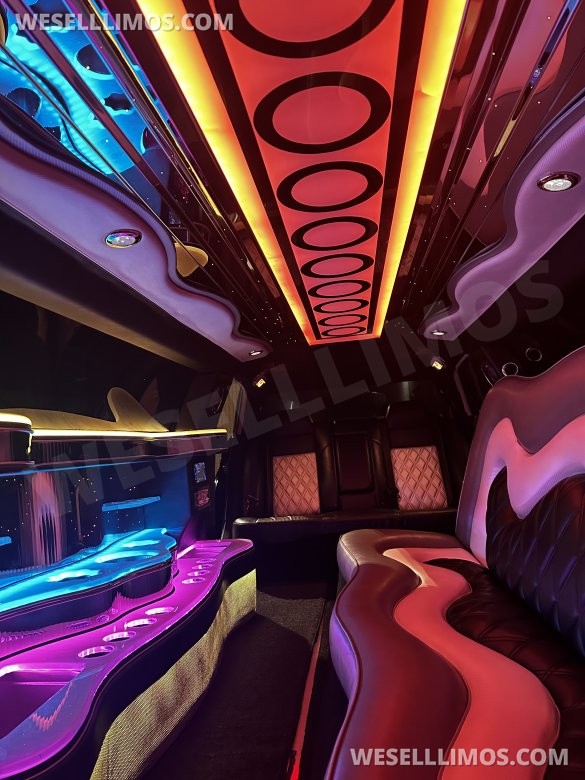 2010 Chrysler 300 Limousine
