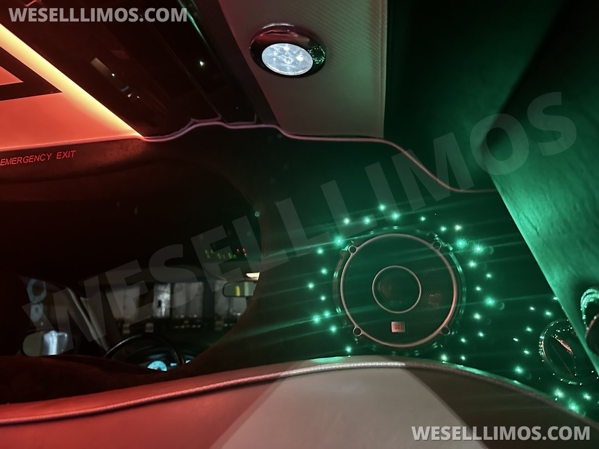 Photo of Limousine for sale: 2010 Chrysler 300 120&quot;