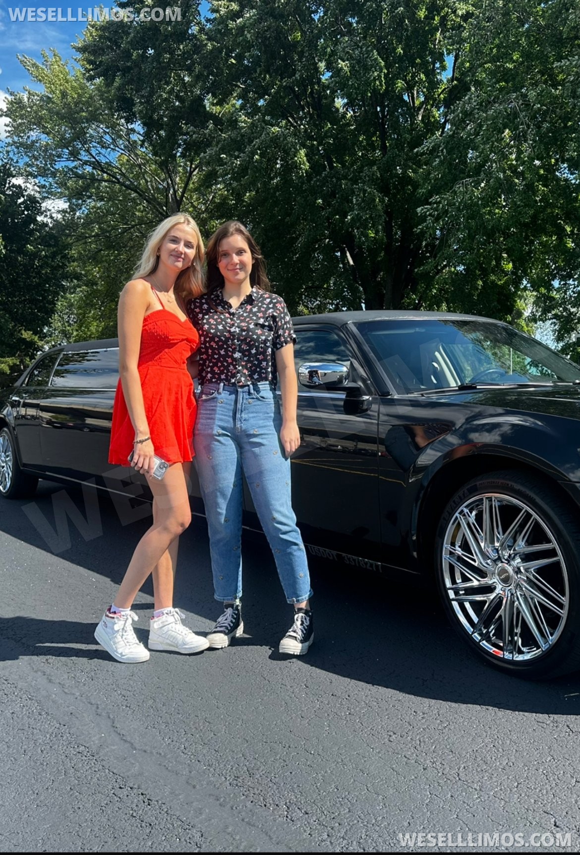 Photo of Limousine for sale: 2010 Chrysler 300 120&quot;