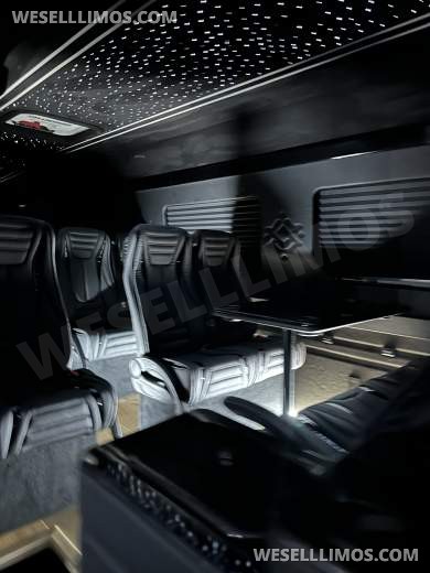 2025  Luxury Shuttle Sprinter - Financing Available For Most Business Owners