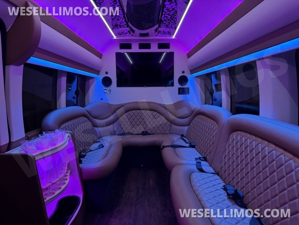 2019 INKA Ford Transit Limo Sprinter