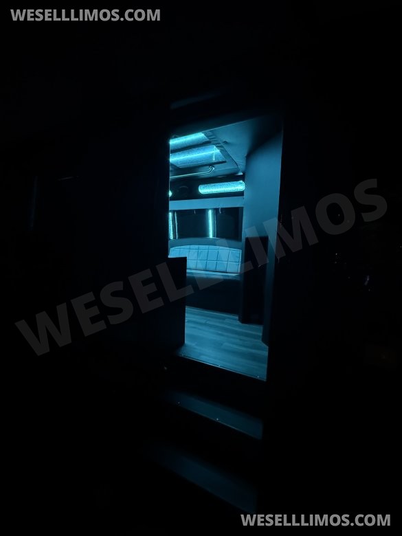 2015 party bus Chevrolet 3500  Limo Bus