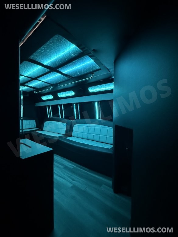2015 party bus Chevrolet 3500  Limo Bus