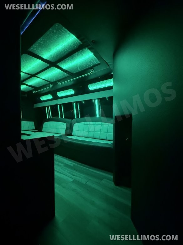 2015 party bus Chevrolet 3500  Limo Bus