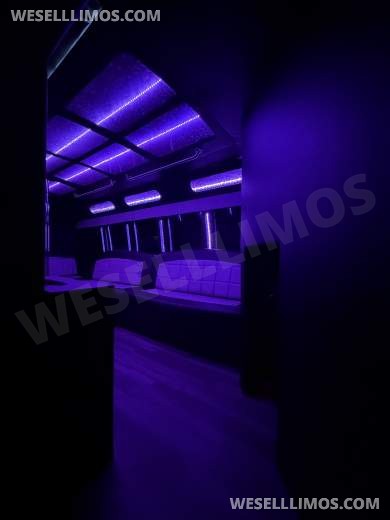 2015 party bus Chevrolet 3500  Limo Bus