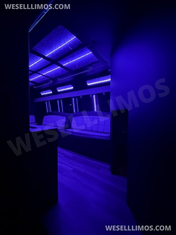 2015 party bus Chevrolet 3500  Limo Bus